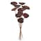 8" Large Natural Botanical Lotus Pod Picks, 12ct.